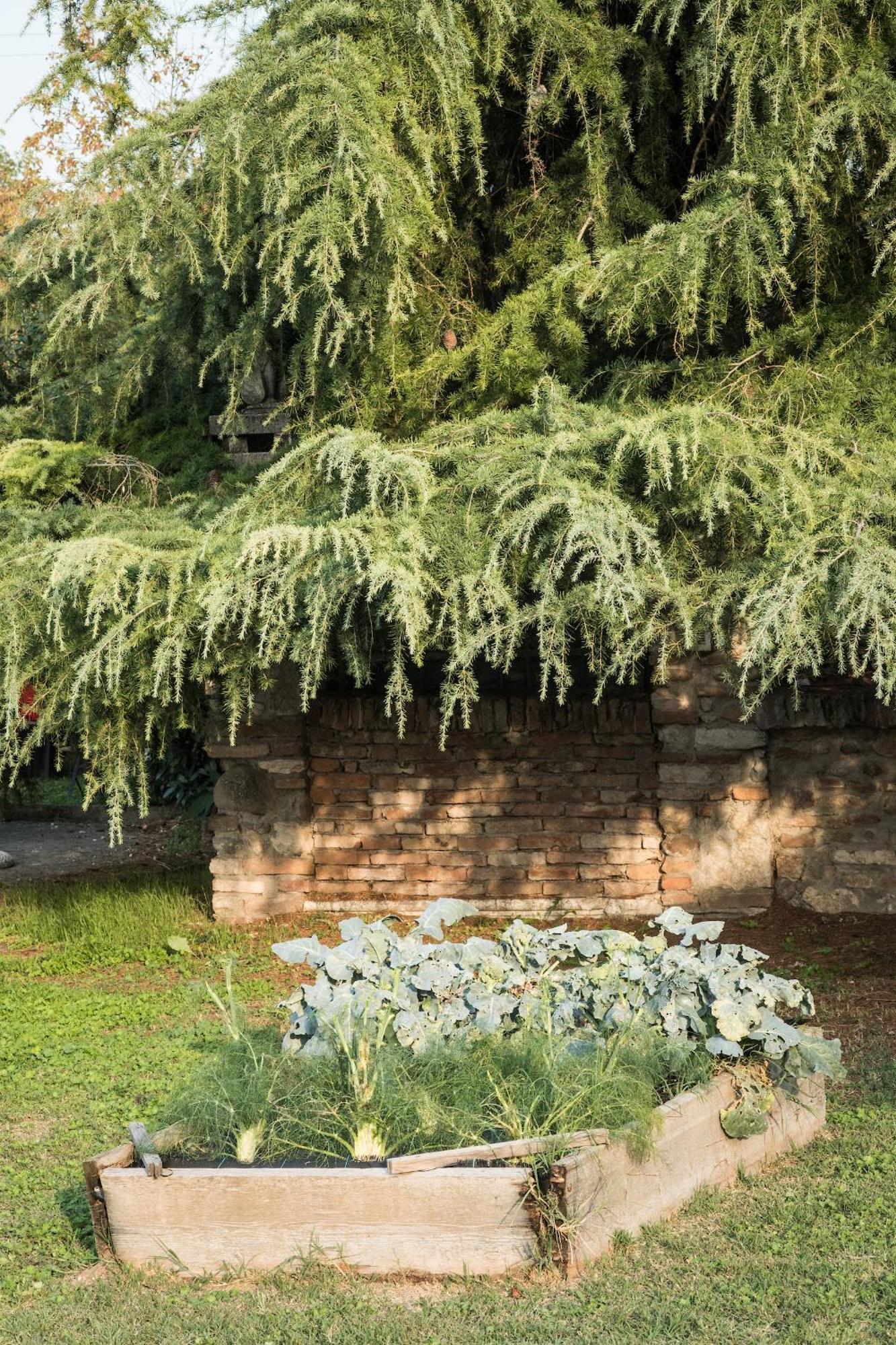 Alloggio per agriturismo Beatilla *